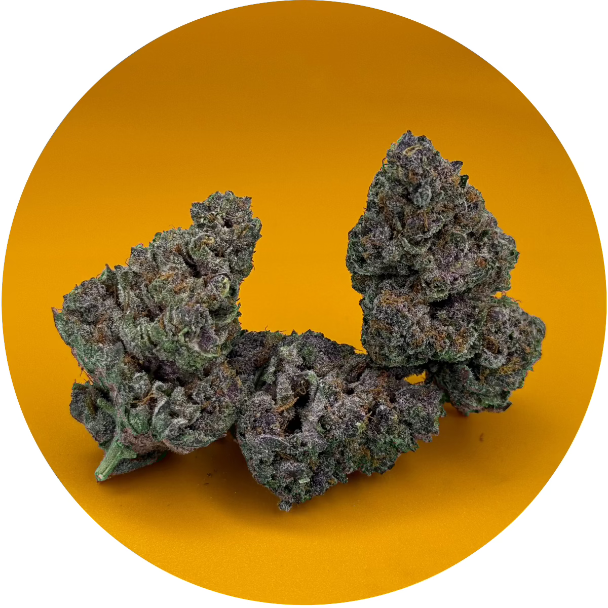 Gold Standard CBD: Exotic THCa Flower and Vegan Gummies