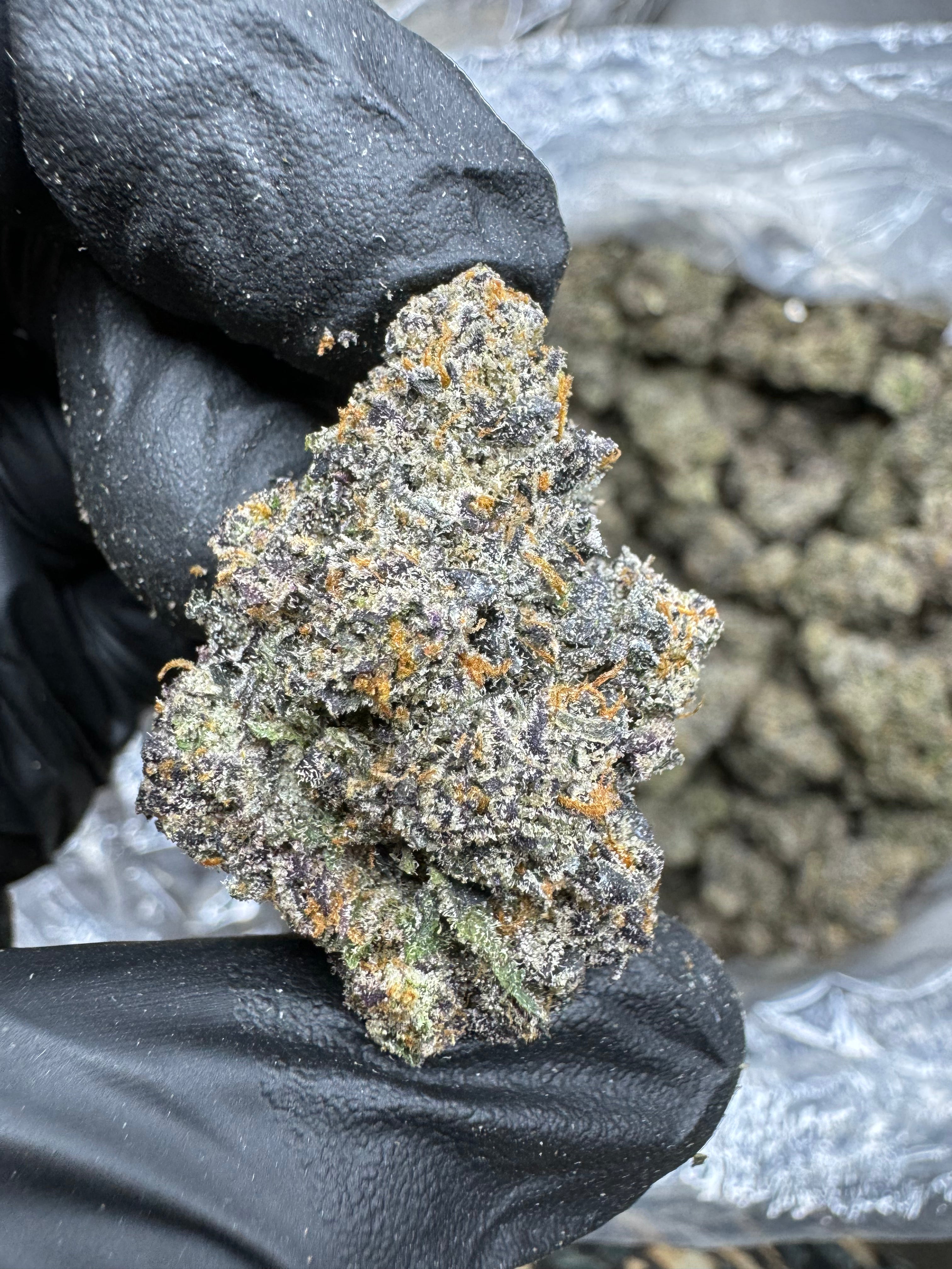 Oreoz THCa Pre-Roll - Chillohs