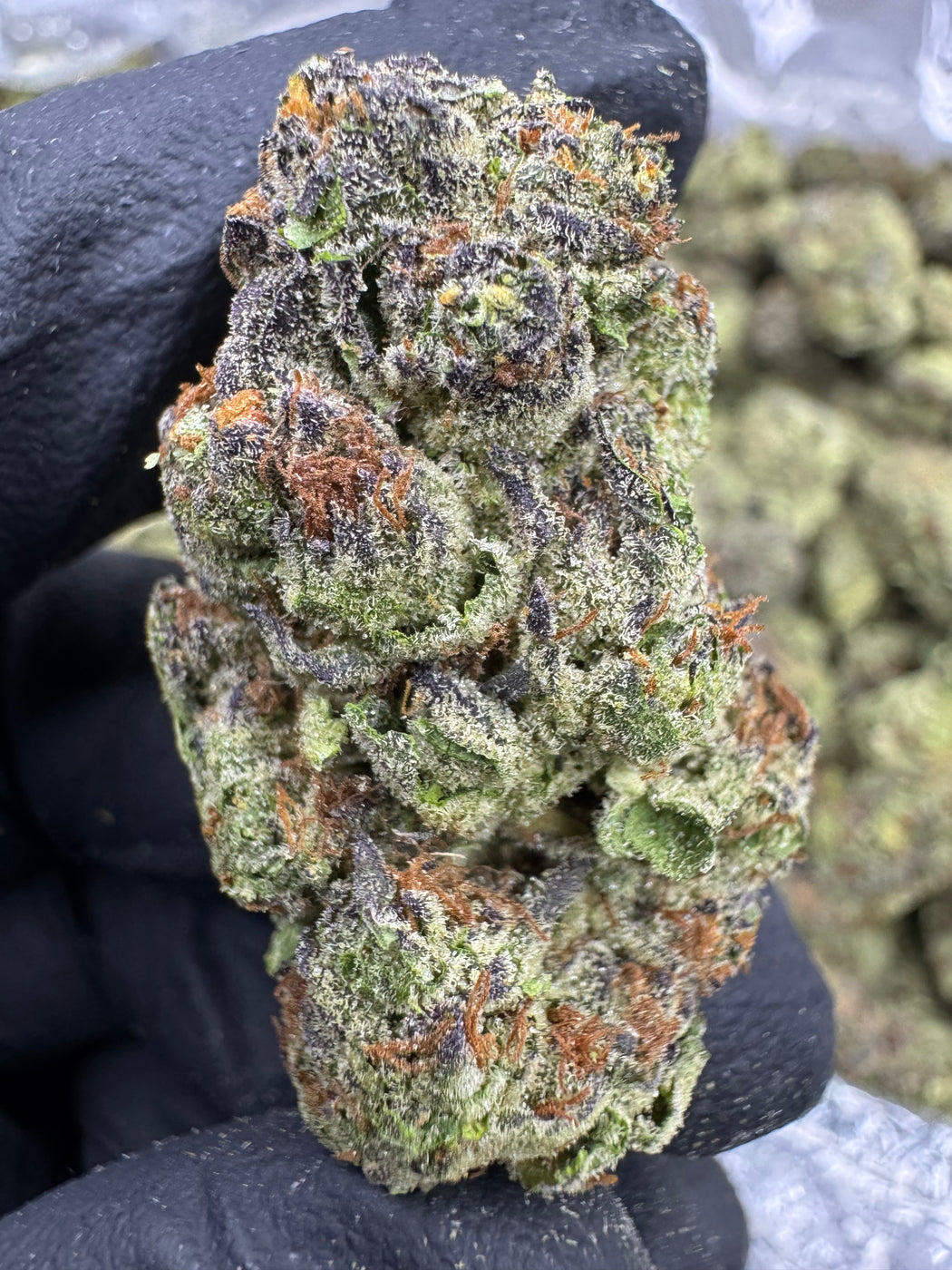 Ice Cream Cake - THCA FLOWER - AA INDOOR