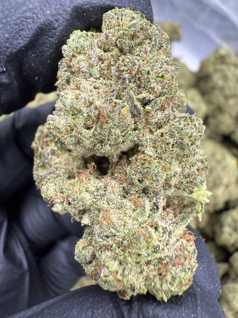 Ice Cream Cake - THCA BULK FLOWER - TOP SHELF
