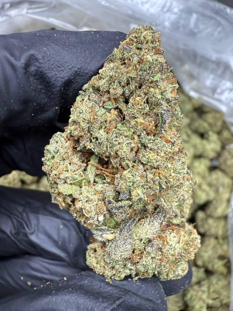Ice Cream Cake - THCA BULK FLOWER - TOP SHELF