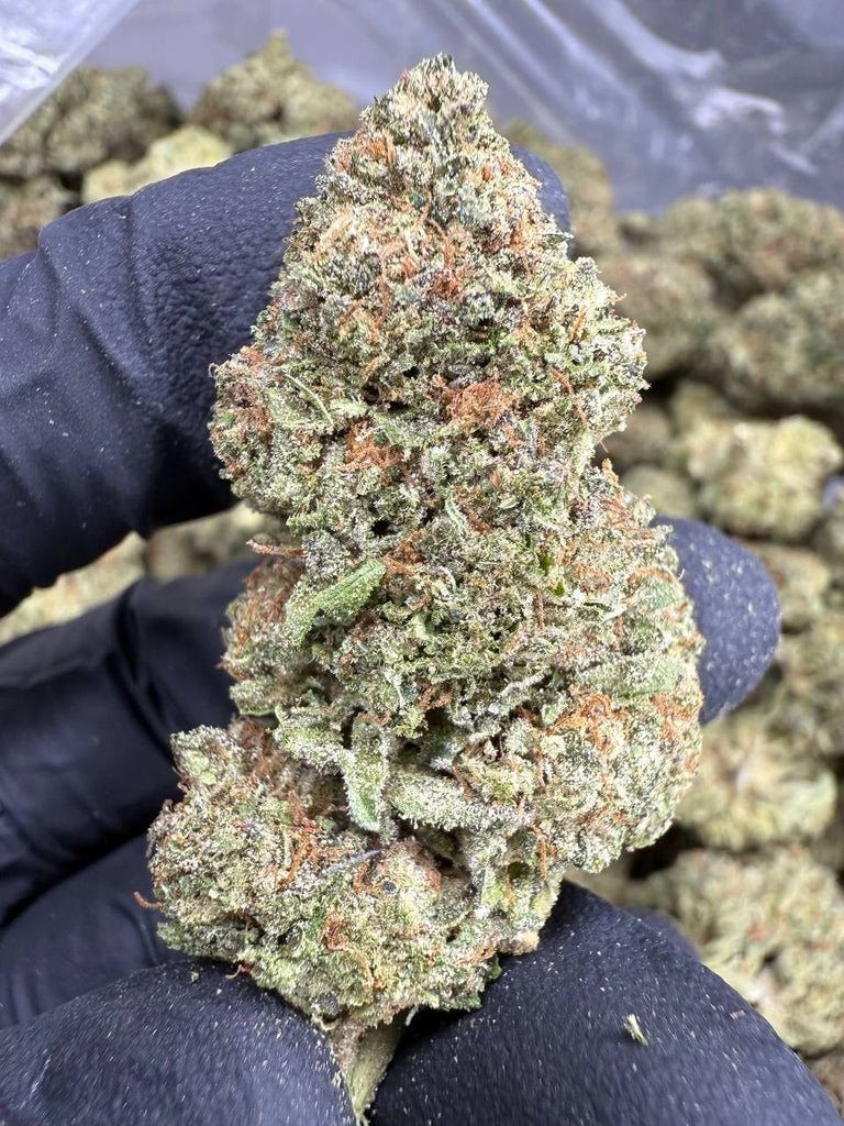 Ice Cream Cake - THCA BULK FLOWER - CLASSIC RESERVE