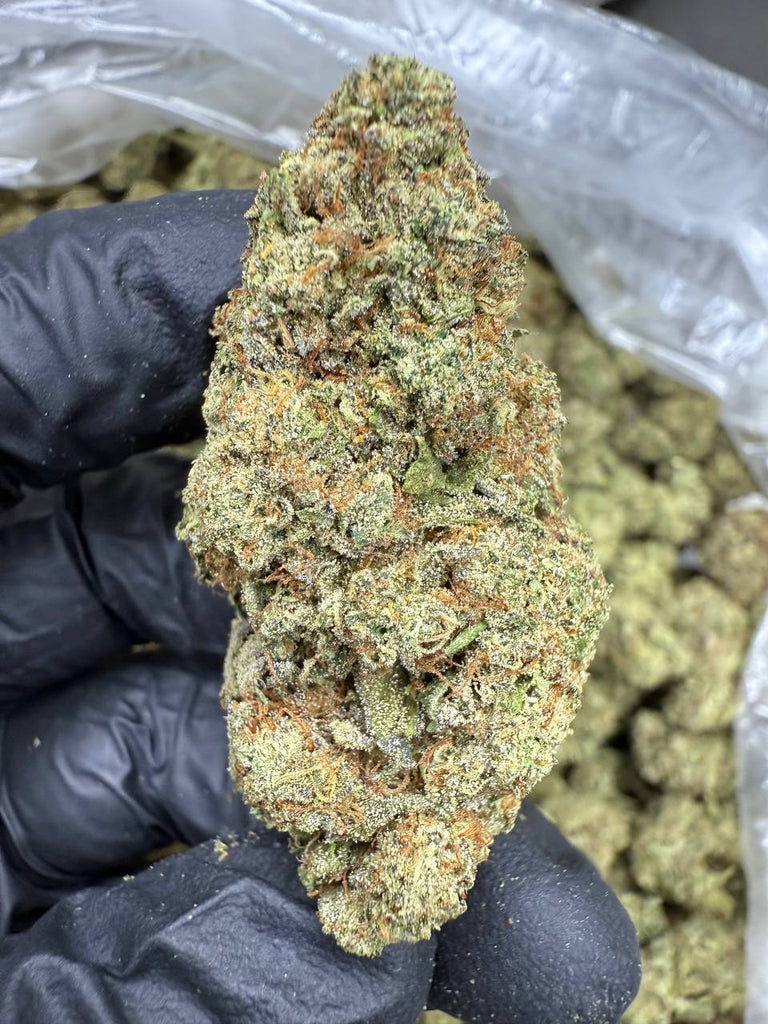 Ice Cream Cake - THCA BULK FLOWER - TOP SHELF