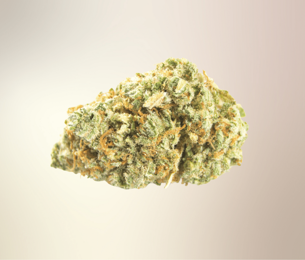 Jack Herer THCA Flower