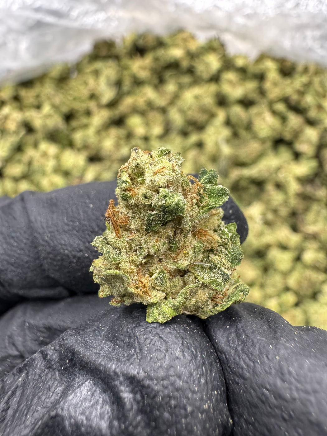 Jiffy Cake - Cheap THCa Ounces - TOP SHELF SMALLS