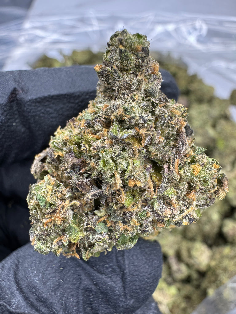 Jokers - THCA - AA INDOOR