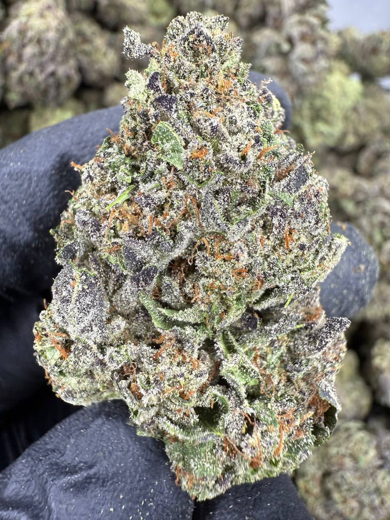Layer Cake - THCA BULK FLOWER - AA INDOOR