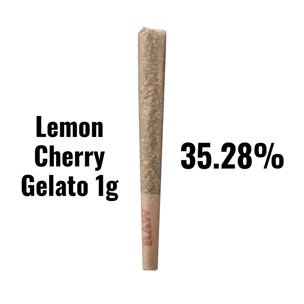 Lemon Cherry Gelato -THCA - 1g - bulk prerolls