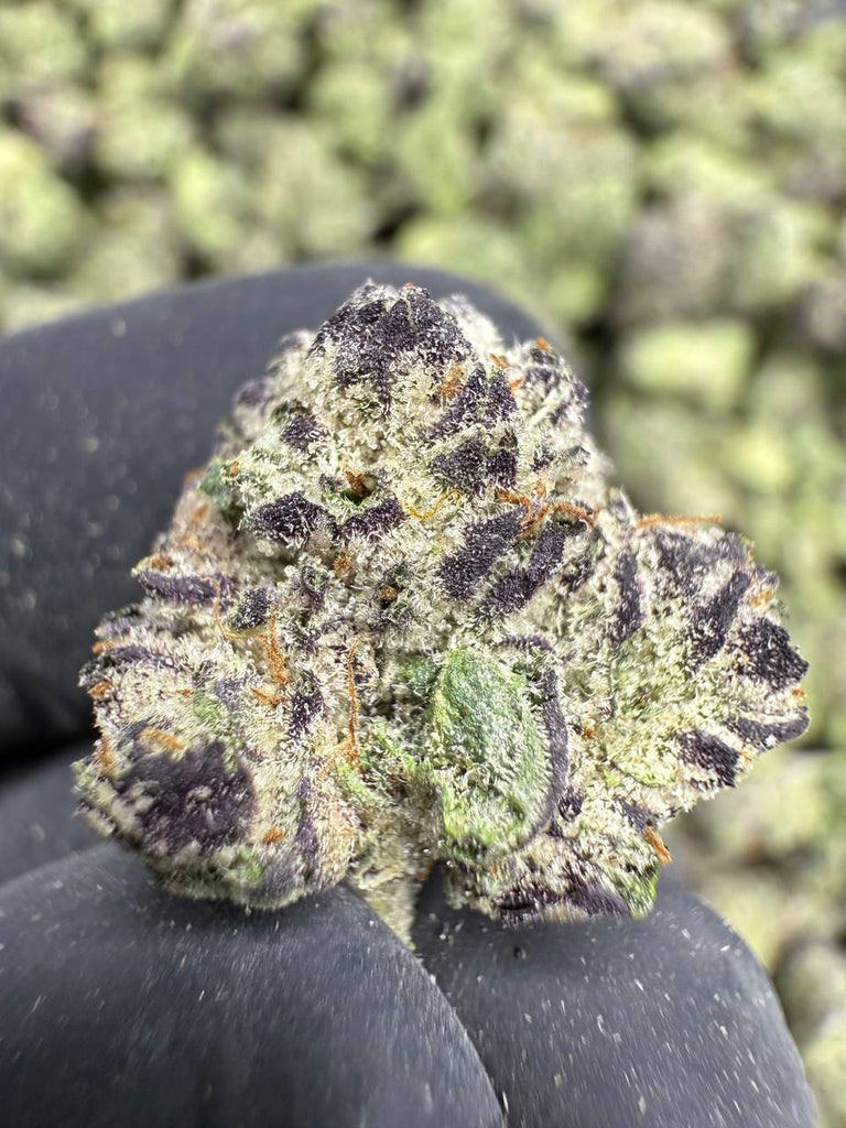 Lemon Cherry Runtz - Gold Nuggets - THCa Flower Exotic Smalls