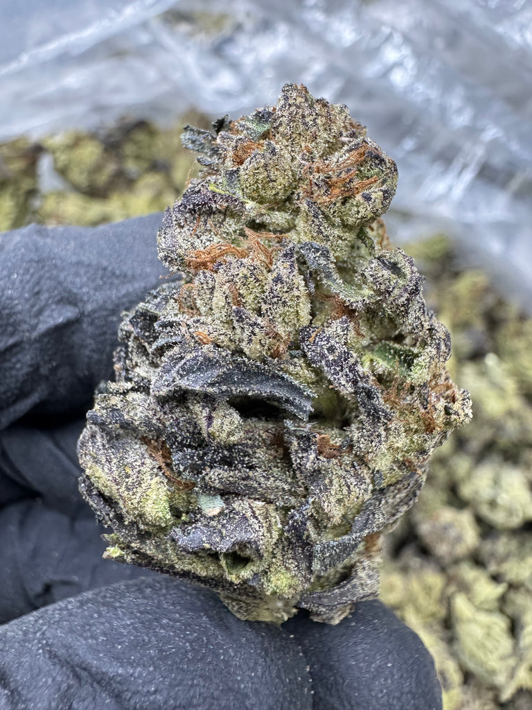 Lemon Pastries - THCA - TOP SHELF
