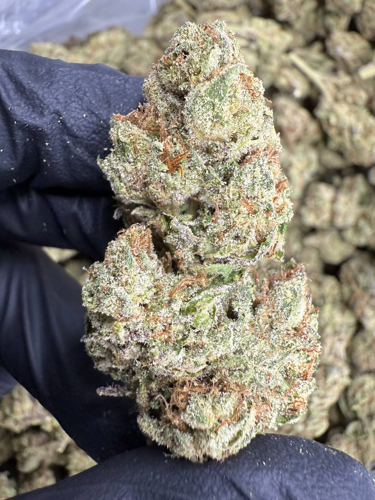 Lemon Cherry Gelato - THCA BULK FLOWER - AA INDOOR