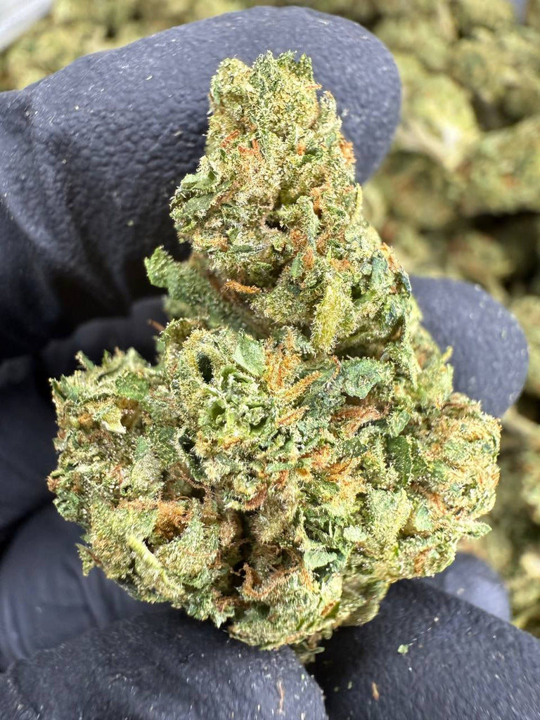 Lemon Cherry Gelato - THCA BULK FLOWER - CLASSIC RESERVE