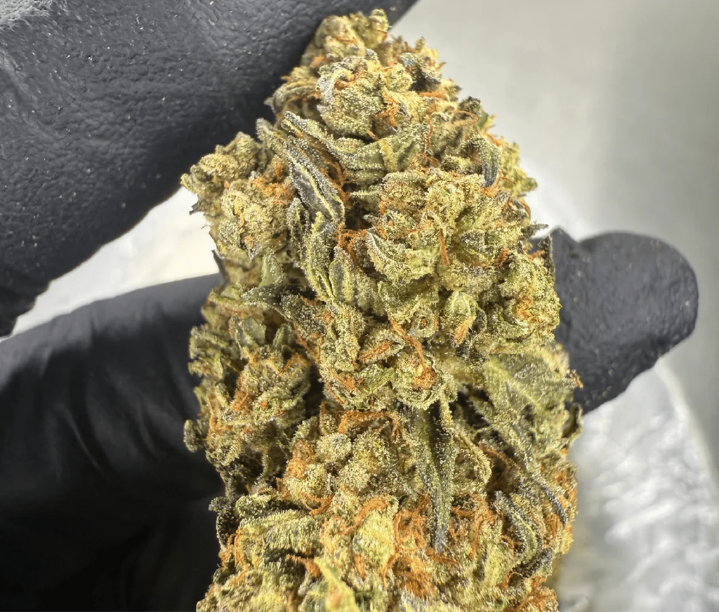 Lemon Cherry Gelato THCA Flower
