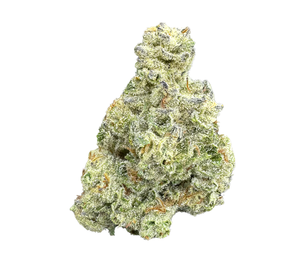 Mango THCA Top Shelf Premium Quality From Gold Standard