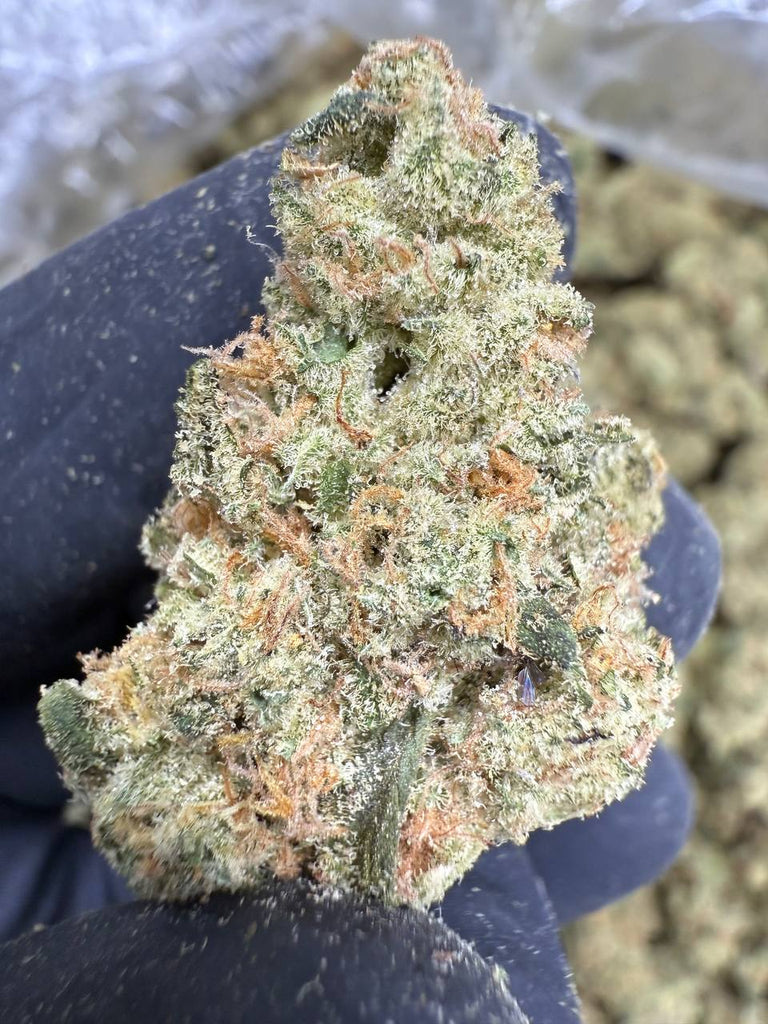 Mule Fuel - THCA BULK FLOWER - EXOTIC INDOOR
