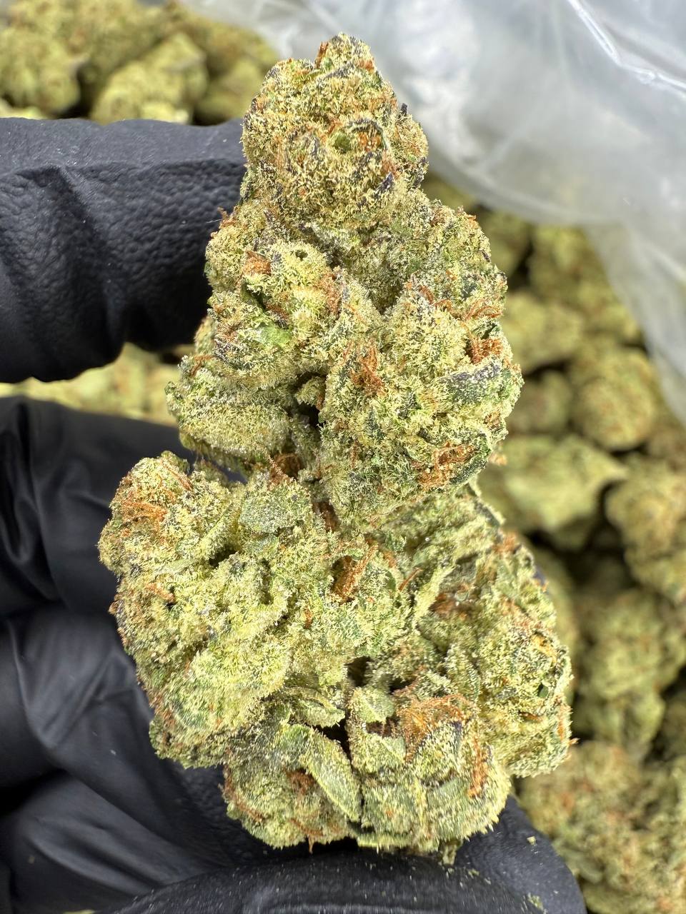 Mule Fuel - THCA BULK FLOWER - TOP SHELF