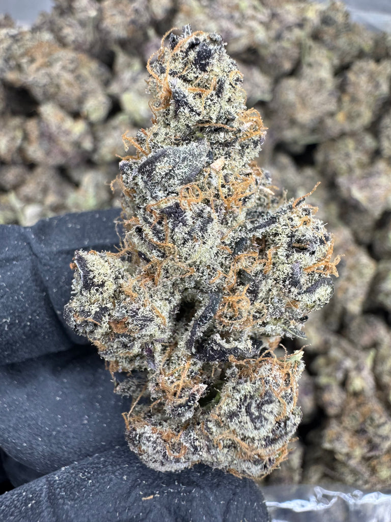 Peanut Butter Apricot - THCA FLOWER - EXOTIC INDOOR
