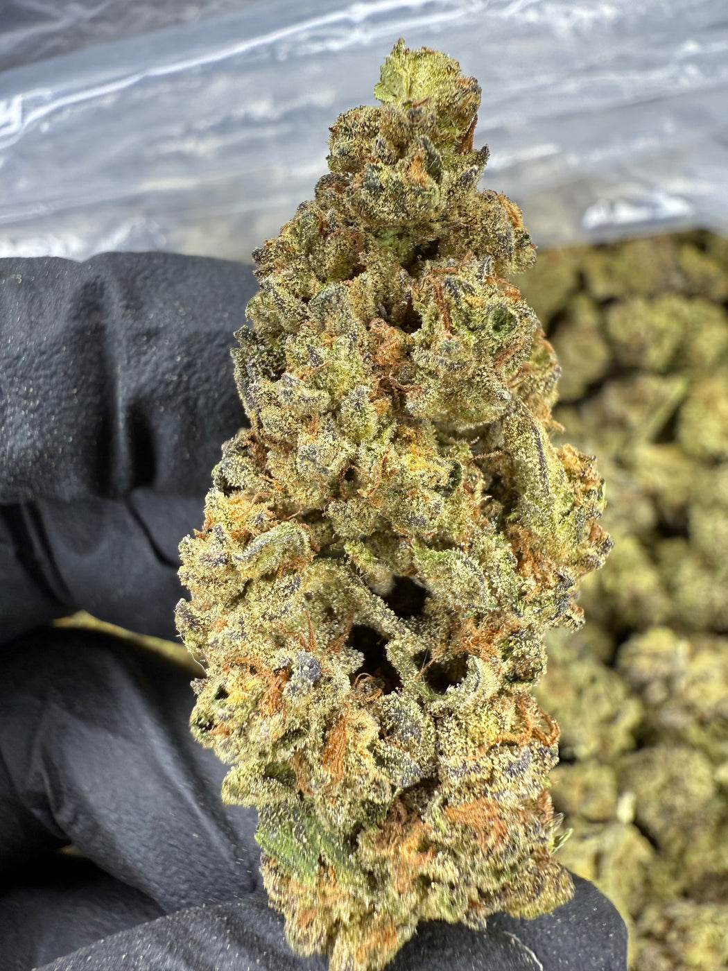 Peanut Butter Breath - THCA BULK FLOWER - CLASSIC RESERVE