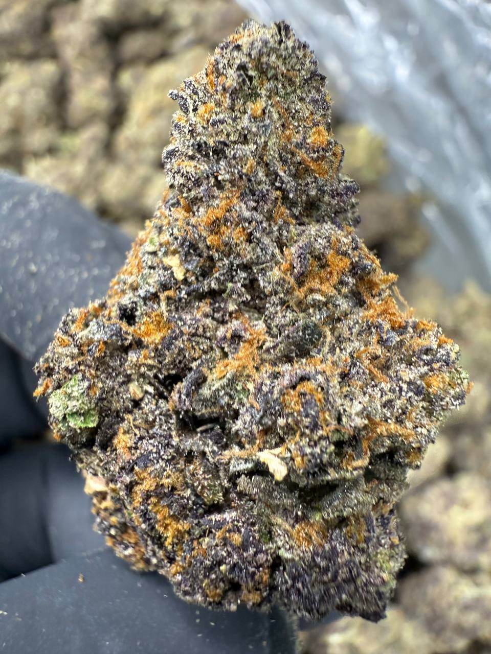 Pink Runtz - THCA FLOWER - EXOTIC INDOOR