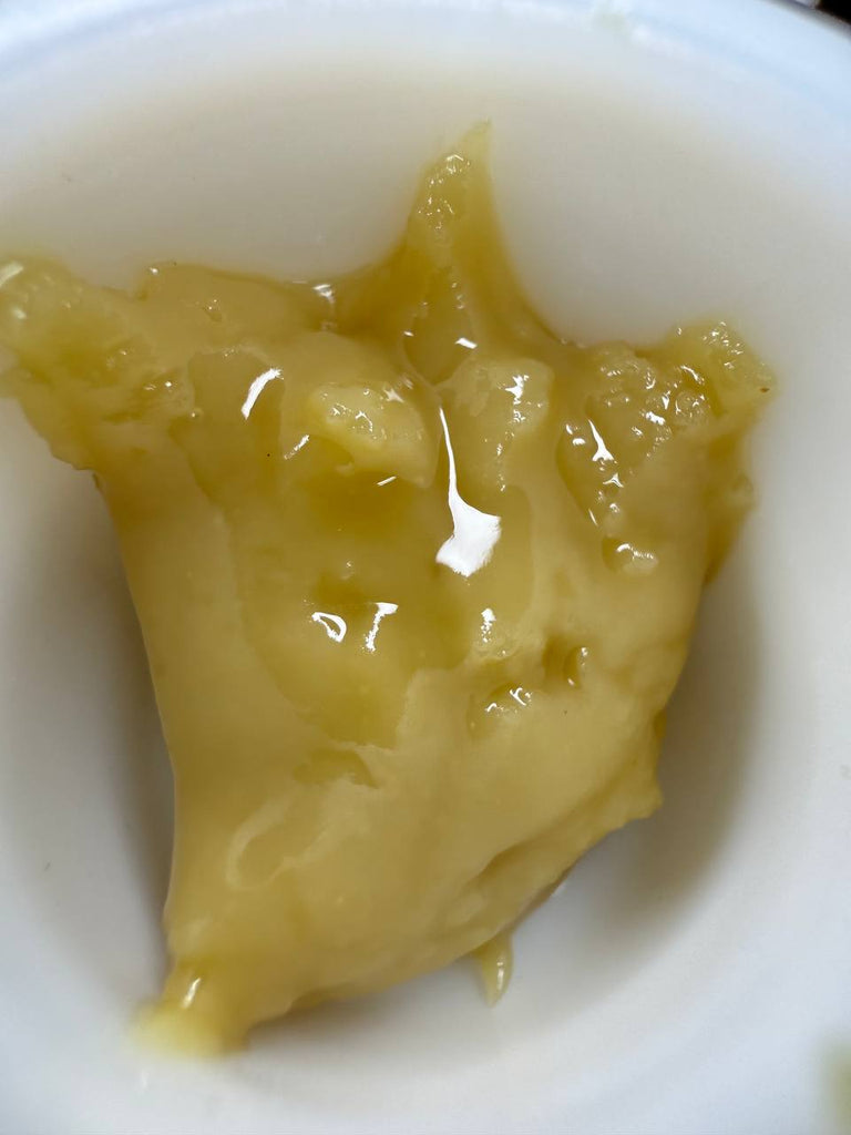 GMO x Rootbeer Live Rosin - THCA Concentrate - Treemason