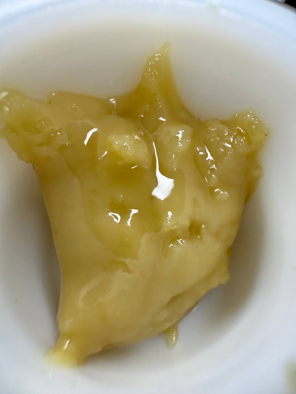 GMO x Rootbeer Live Rosin - THCA Concentrate - Treemason