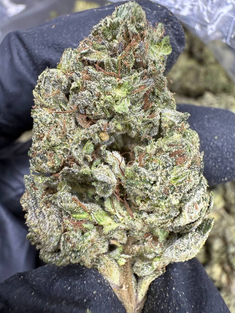 Runtz - THCA BULK FLOWER - TOP SHELF