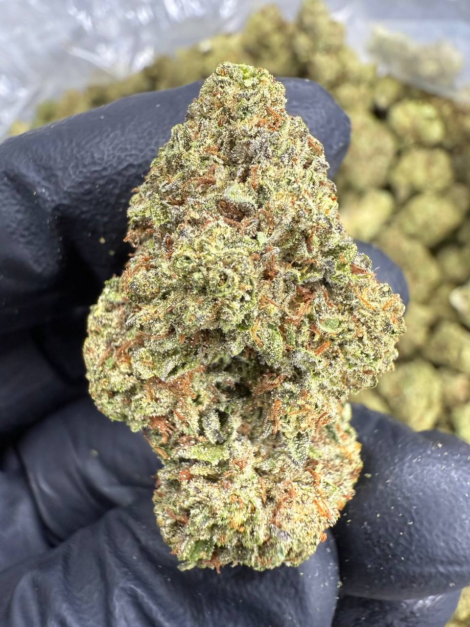 Sour Diesel - THCA BULK FLOWER - TOP SHELF