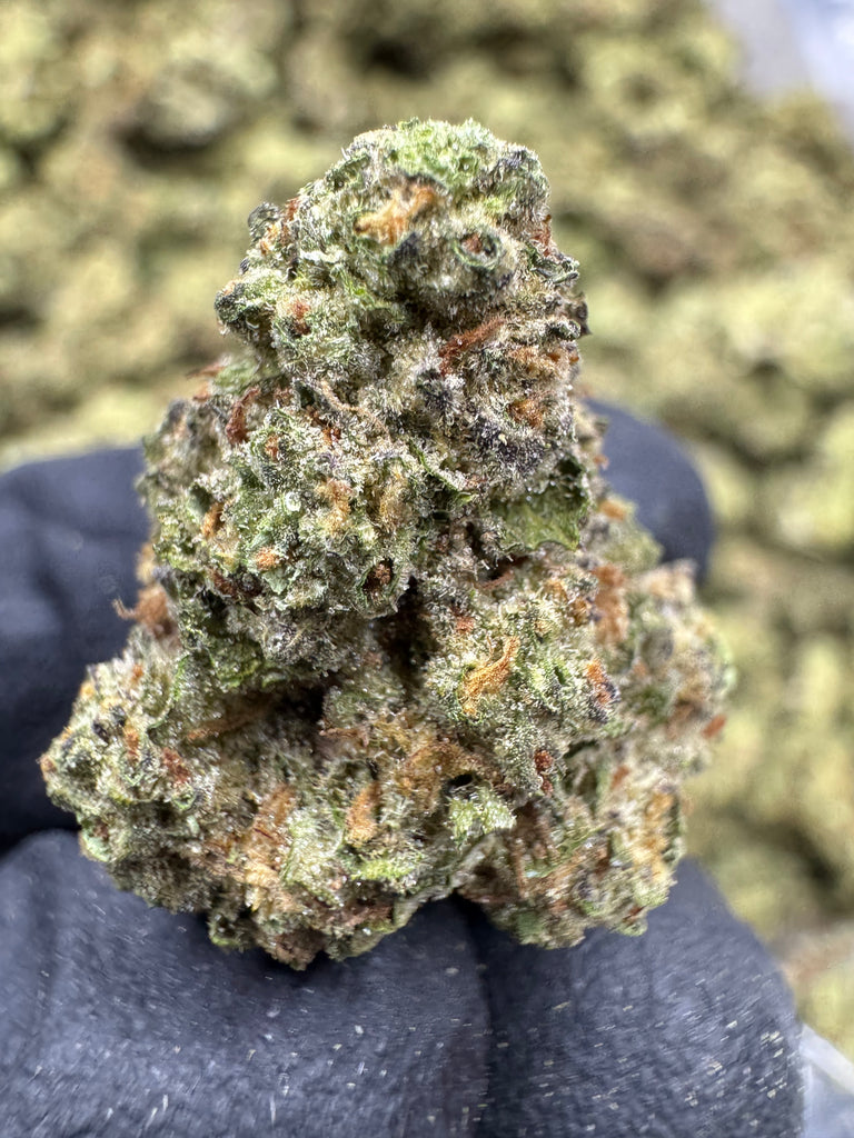 Strawberry Champagne - THCA - CLASSIC RESERVE