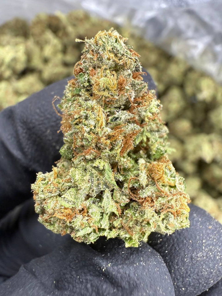 Strawberry Cough - THCA BULK FLOWER - CLASSIC RESERVE