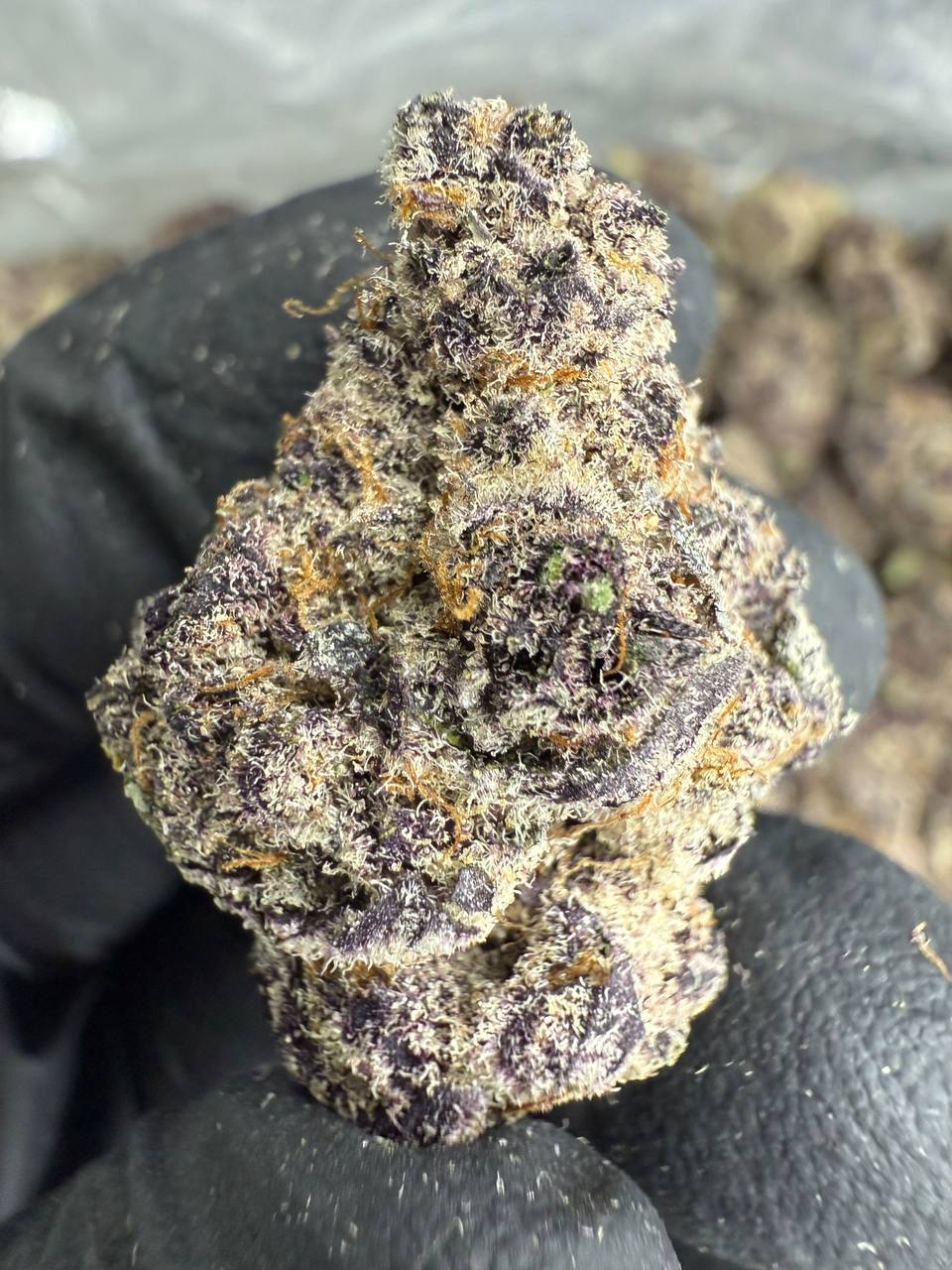 Super Buff Cherry - THCA BULK FLOWER - EXOTIC INDOOR
