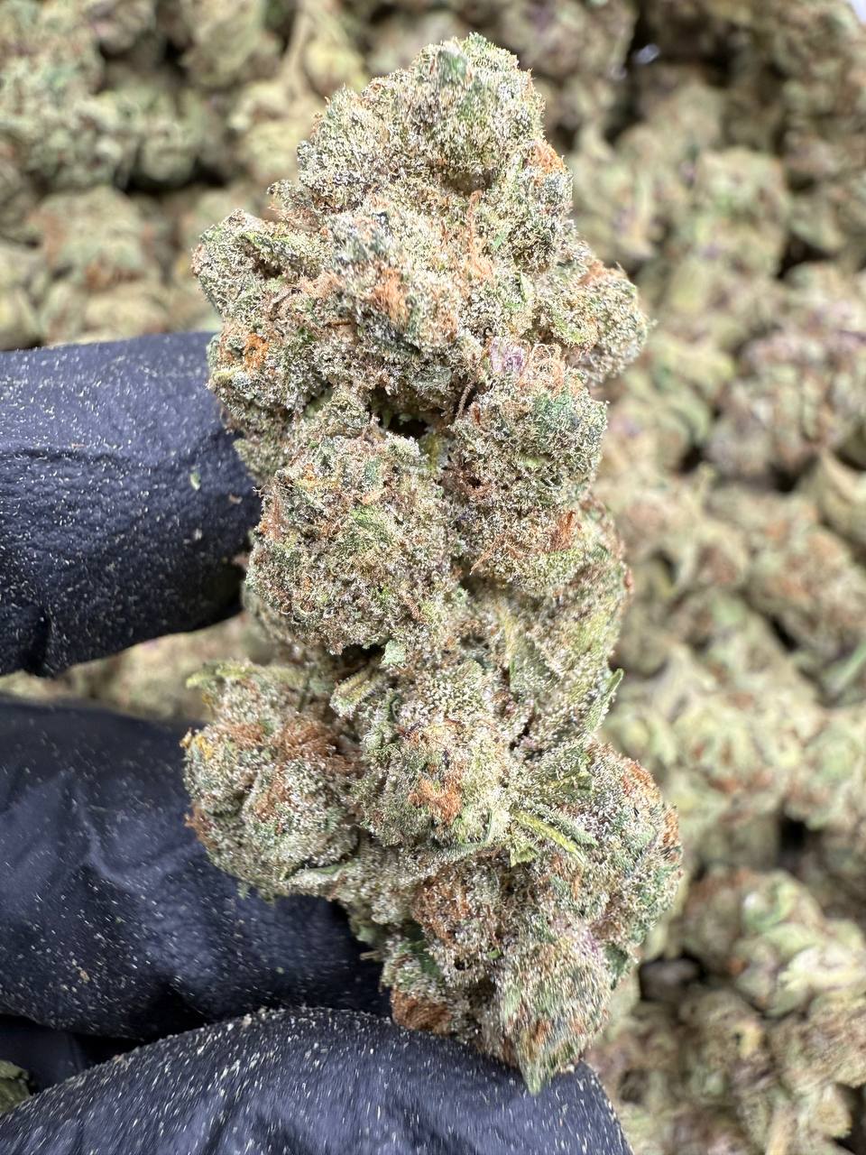 Super Boof - THCA BULK FLOWER - TOP SHELF