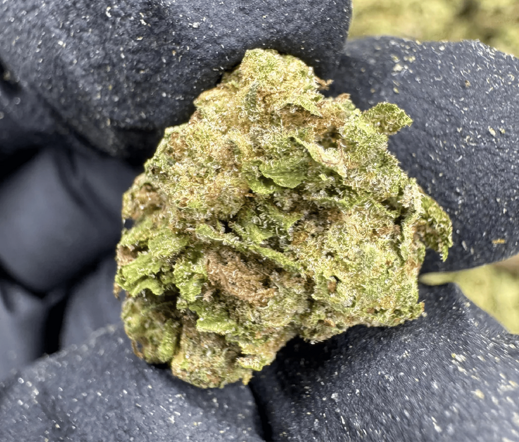THC-A Flower