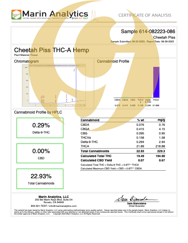 THCA - Cheetah Piss - INDOOR - EXOTIC Hemp Flower