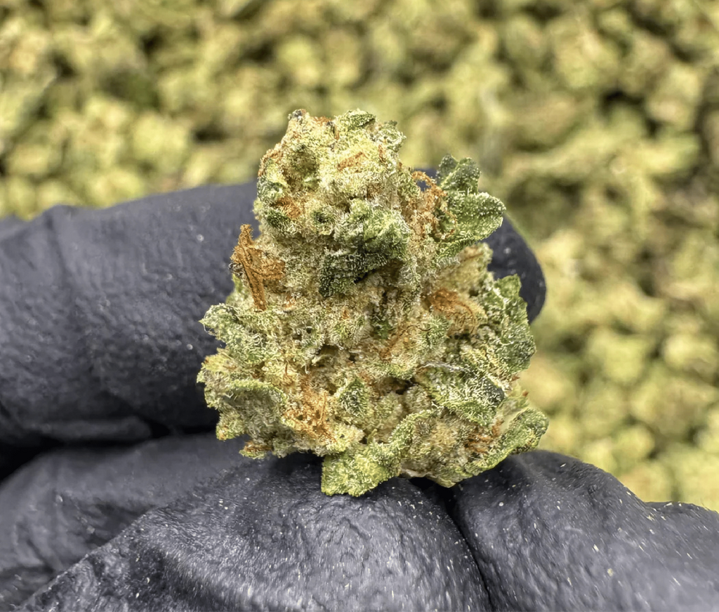 THCA Flower Alaska