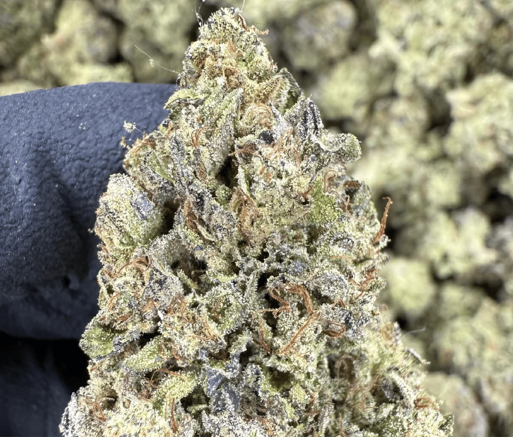 THCA Flower Nearby