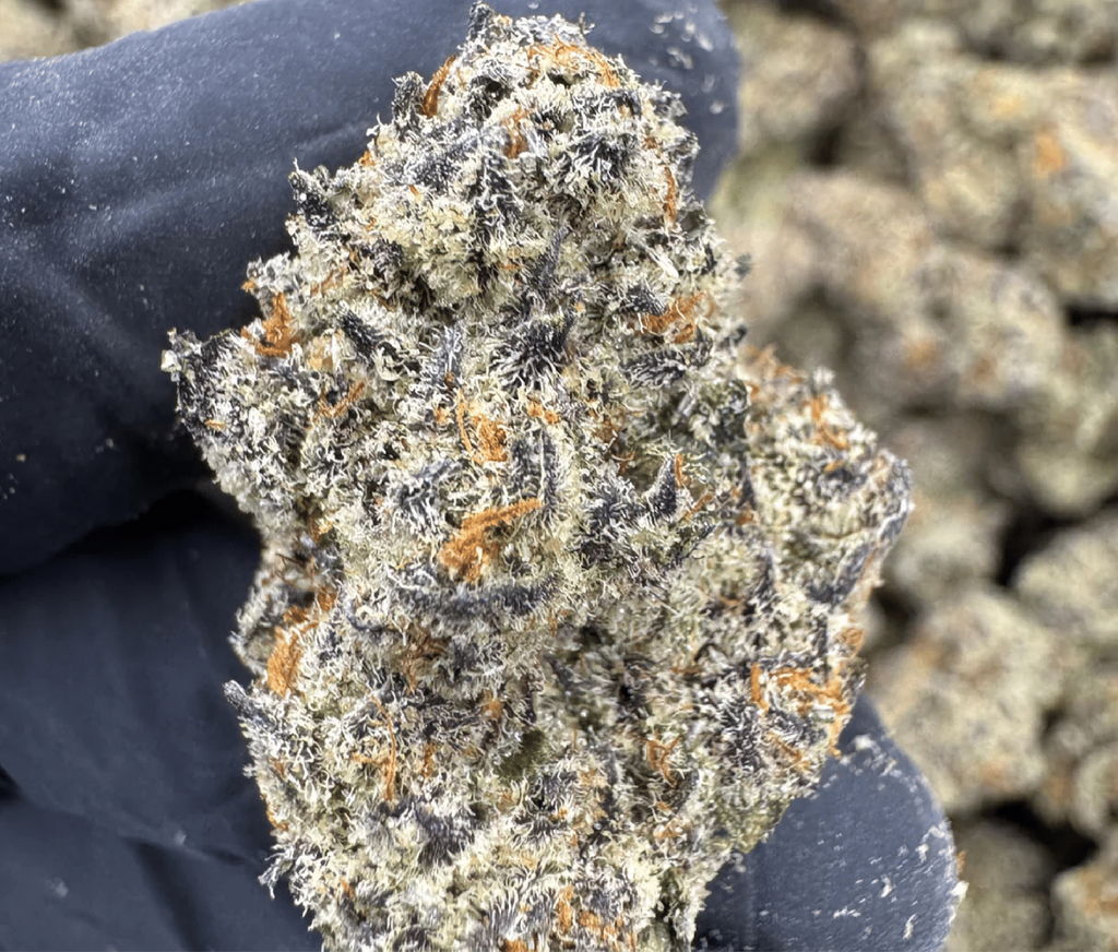 THCA Online Deals