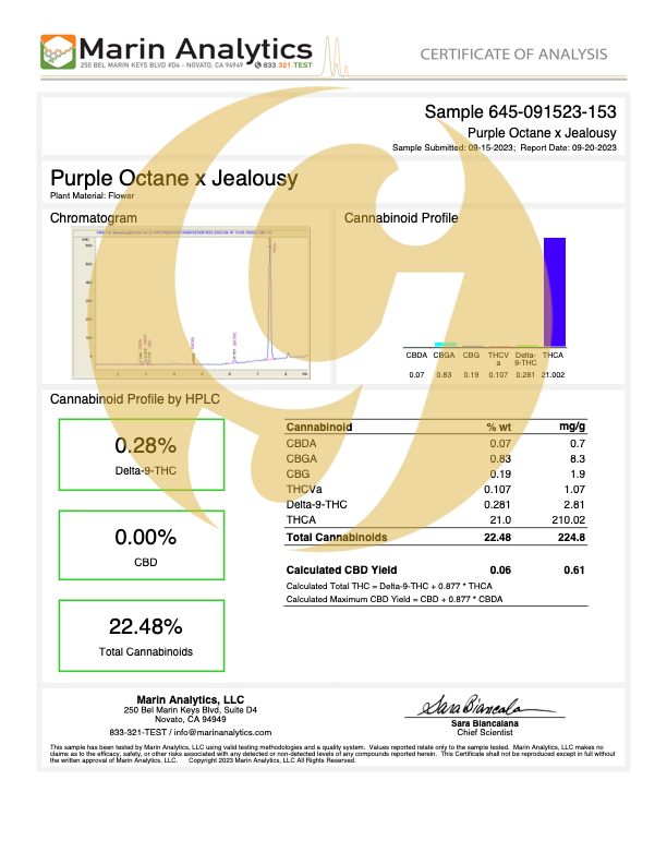 THCA - Purple Octane x Jealousy - LIGHT DEP - EXOTIC Hemp Flower