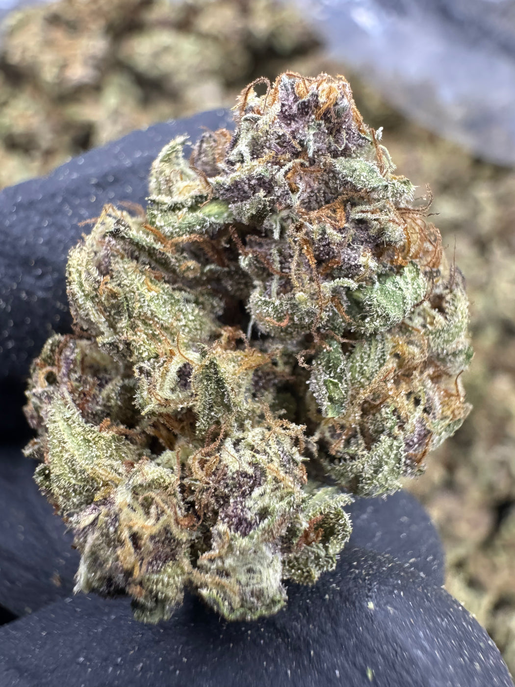 Tropicana Cherry - THCA - CLASSIC RESERVE
