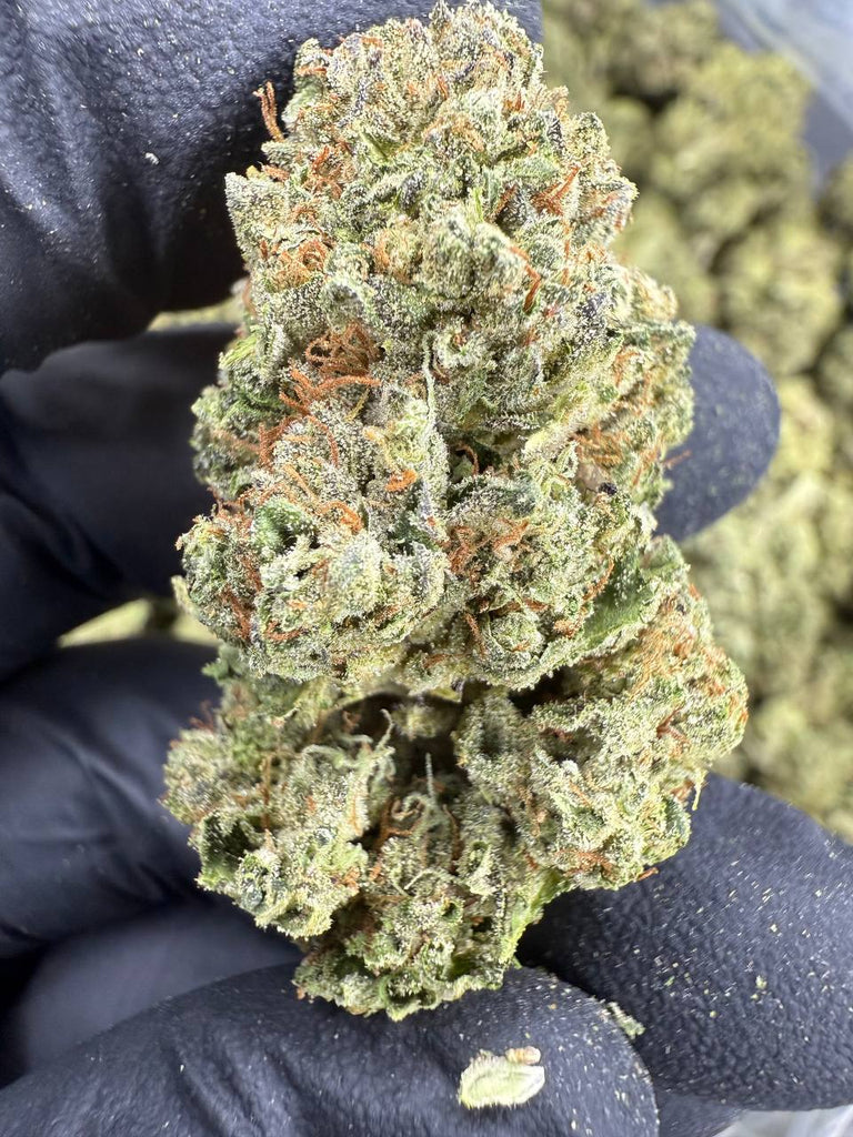 Wedding Cake - THCA BULK FLOWER - CLASSIC RESERVE