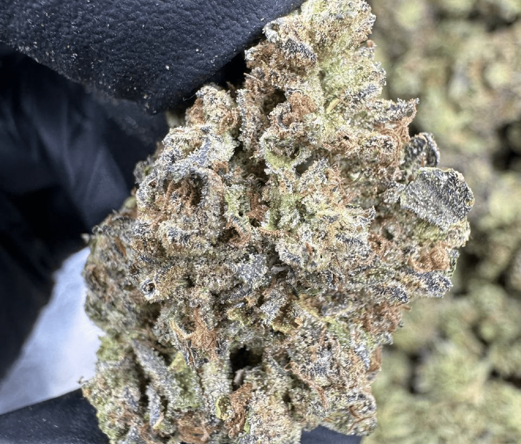 Wedding Cake THCA Flower