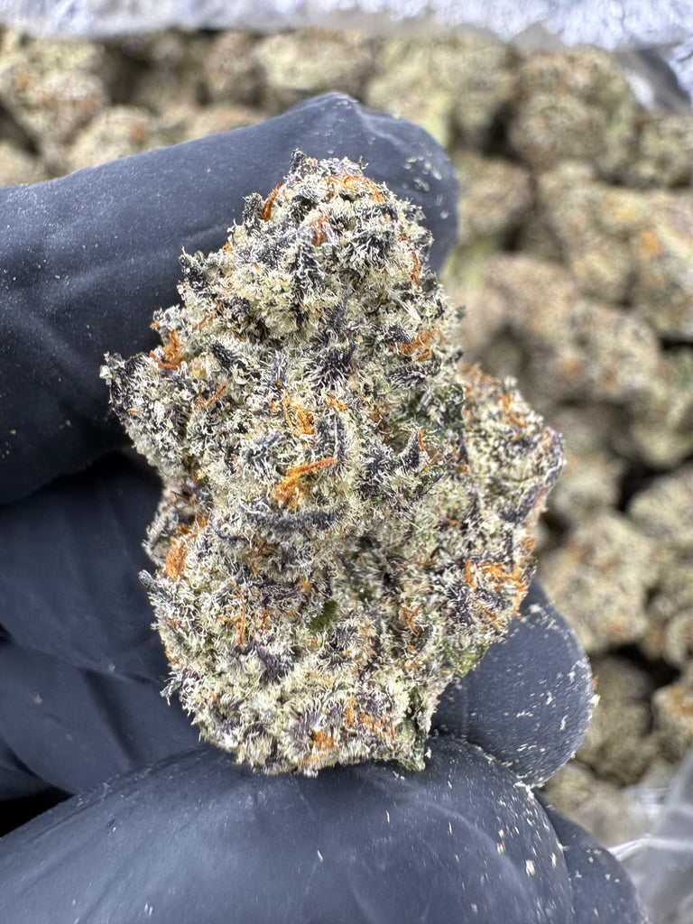 White Truffle - THCA - EXOTIC INDOOR - Treemason