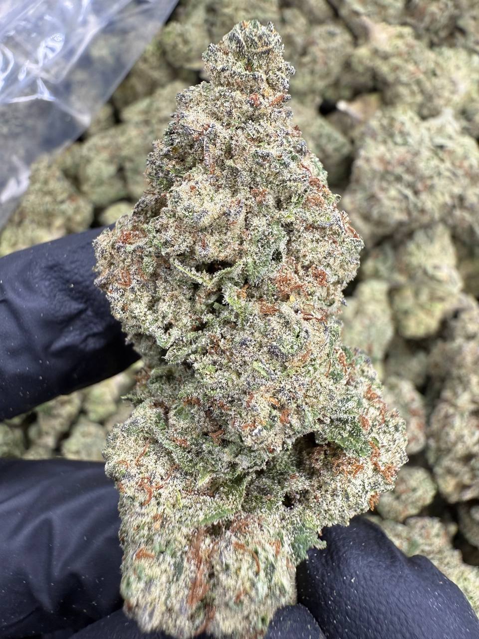 White Widow - THCA BULK FLOWER - AA INDOOR