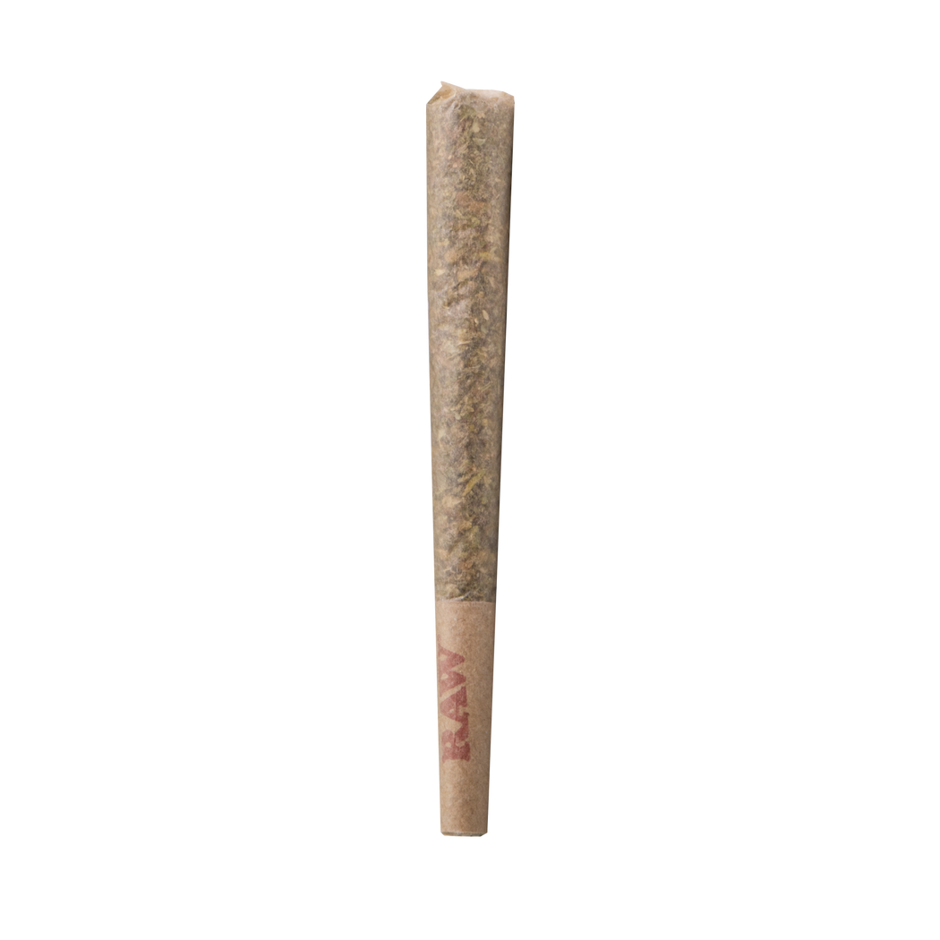 Blue Dream - THCA - 1.5g - BULK Prerolls