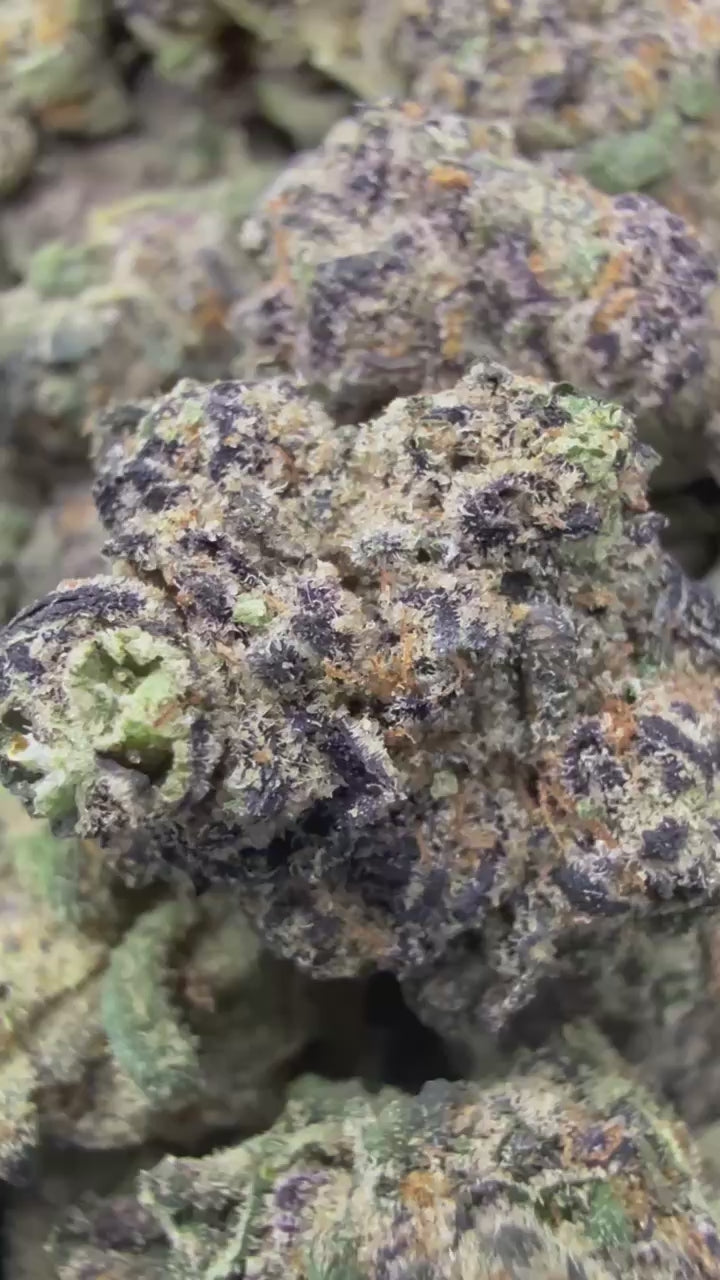 THXE 20%［1ml］OREOZ Oreoz S1 Feminised Seeds | Ozzy Genetics