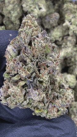 Pink Certz - THCA FLOWER - AA INDOOR