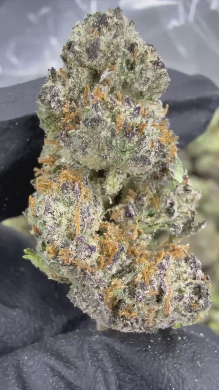 THXE 20%［1ml］OREOZ Oreoz THCa Flower - Buy Online Now - Lord Green Factory