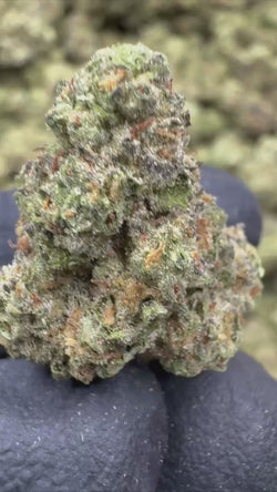 Strawberry Cheesecake - THCP BULK FLOWER